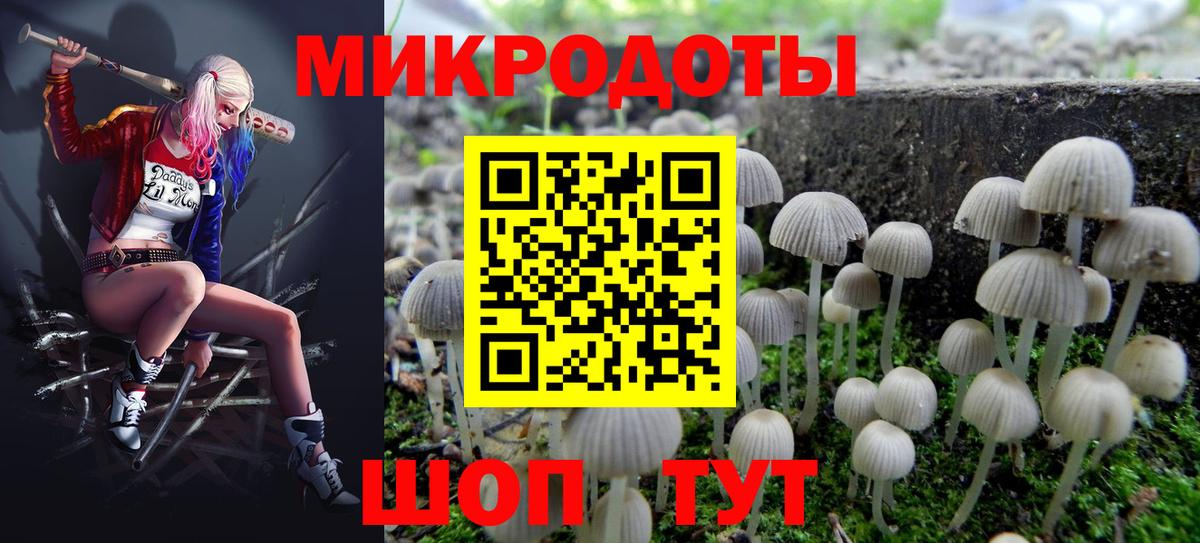 Протвино  Псилоцибиновые грибы мухоморы  Вход с VPN 